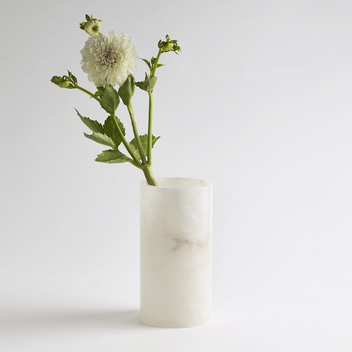 Santo Alabaster Tall Vase - Resonant- The Collective Home