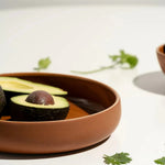 Stoneware Pasta/Salad Plate | Edan 7.9" - Matte/Shiny Terracotta - Resonant- Gharyan Stoneware