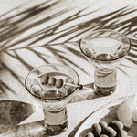 Martini Glass Set of 6 - Resonant