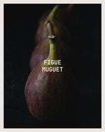 Figue Muguet - Resonant- Candle