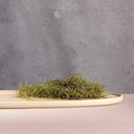 Mesa Oval Platter