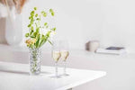 Orrefors Carat Champagne Flutes: Elevate Your Celebrations with Luminous Elegance