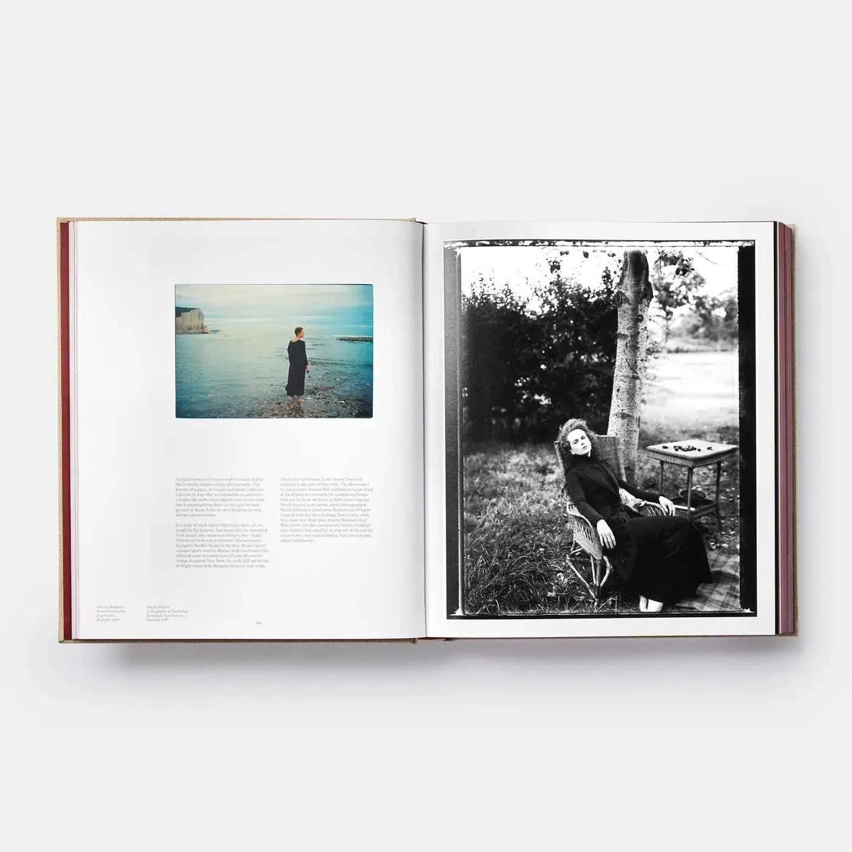 Wonderland (2021) by Phaidon