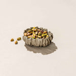 Coastal Charm Trinket Dish - A Unique Catchall to Elevate Your Home Decor