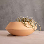 Utopia Bowl