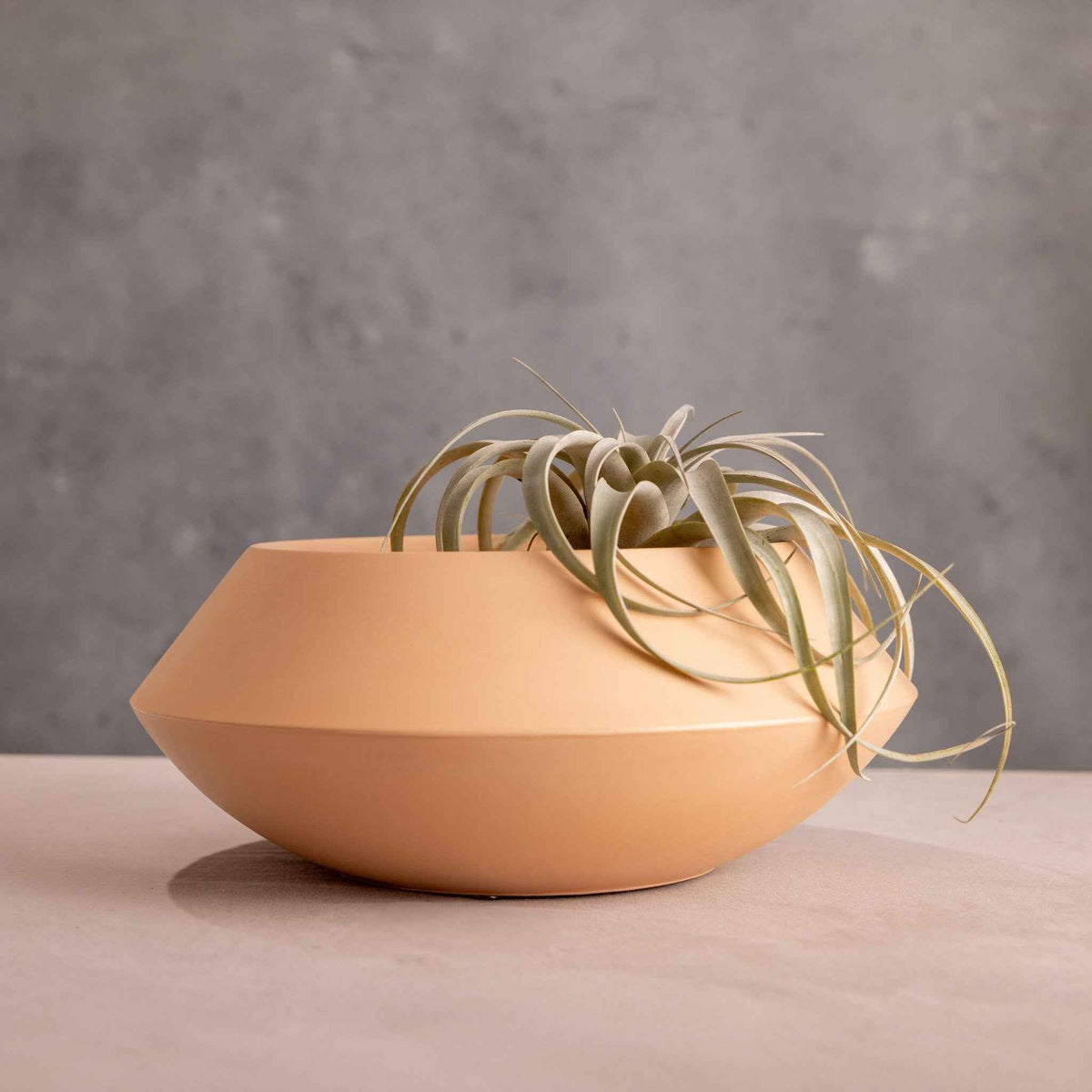 Utopia Bowl