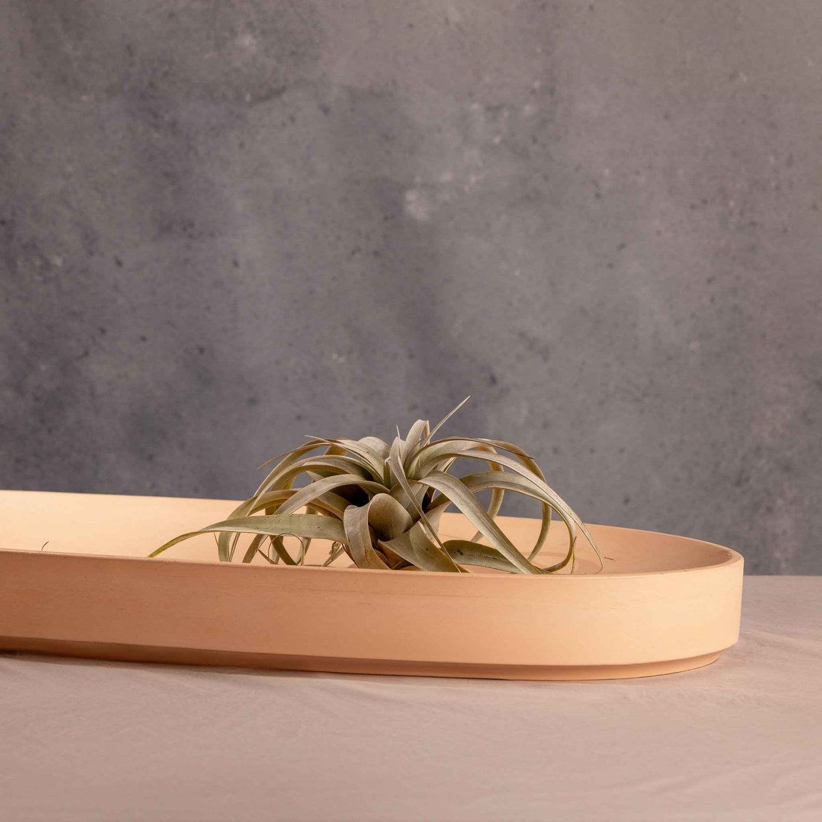Elevate Your Dining Experience with the Valley Oval Platter